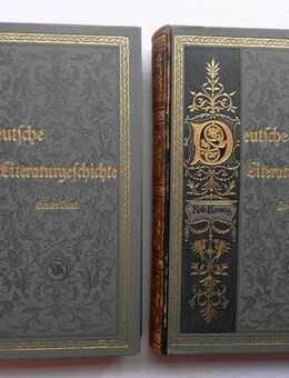 Koenig, Robert. Deutsche Literaturgeschichte. 2 Bände. Prachtausgabe von 1910 mit Exlibris - Königsbach-Stein