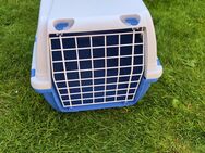 Hunde-Katzen-Box - Olpe