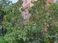 Nachmietersuche - helle 3 Raum Wohnung im Dachgeschoss mit sehr schönem Grundriss und WG geeignet - Dresden