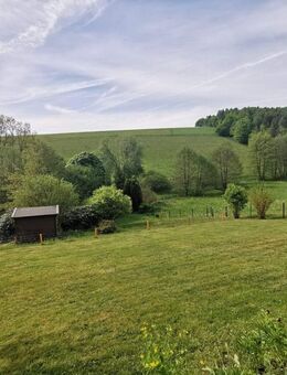 +++ RESERVIERT +++ Freistehendes Einfamilienhaus in herrlicher Ortsrandlage von Bad Laasphe-Oberndorf - Bad Laasphe
