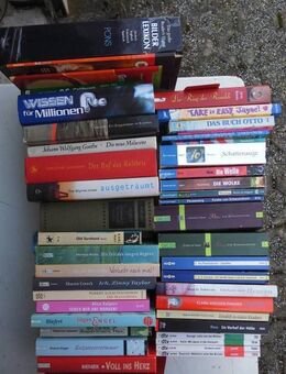 Jugendbücher Biss Pausewang Stevenson Karl May 44 Bücher zus 5,- - Flensburg