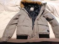 Winterjacke - Ludwigshafen (Rhein)