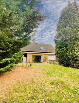 Wohnhaus mit 3 Einheiten auf großzügigem Grundstück in Bad Waldliesborn - Lippstadt