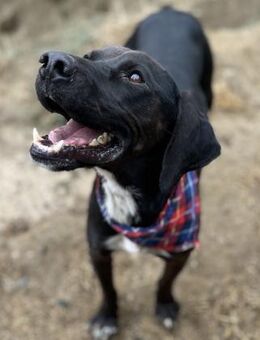 Jeca menschenbezogen & aktiv - Berlin