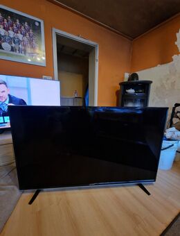 Verkaufe meinen Grundig Fire TV im sehr guten Zustand aber er muss abgeholt werden - Pegnitz