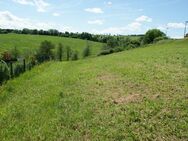 **Voll erschlossenes Baugrundstück mit Weitblick in der Eifel** - Neuendorf (Rheinland-Pfalz)