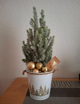 Tannenbaum mit Weihnachskugeln - Sulzburg