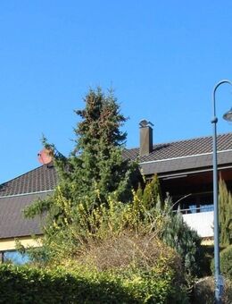 Platz für Wohnen und Arbeiten unter einem Dach - Mühlacker