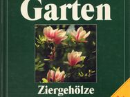 Buch von Greiner, Hagen & Weber DER GROSSE ADAC RATGEBER "GARTEN" Ziergehölze - Zeuthen