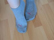 Socken Füße Dirty talk Fuß chat - Hildesheim