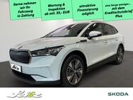 Skoda ENYAQ iV, 60 Loft, Jahr 2024 - Sonthofen