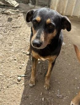 GEBEN SIE LIMA DIE ZEIT DIE SIE BRAUCHT! - Mönchengladbach