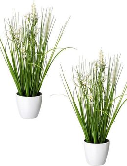 Kunstgras Blüten-Gras-Mix, Creativ green, Höhe 41 cm, in weißer Kunststoffschale