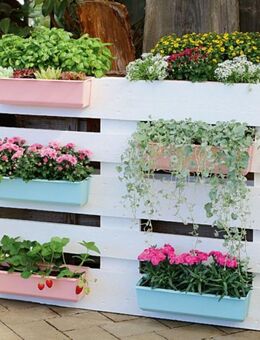 Neue Garten Deko Holz Palette natur 120x80 cm für Blumen Gewächse, oder für Gartenterrassenmöbel-Bau, oder zum Futonbettgestell-Bau - Schladen-Werla
