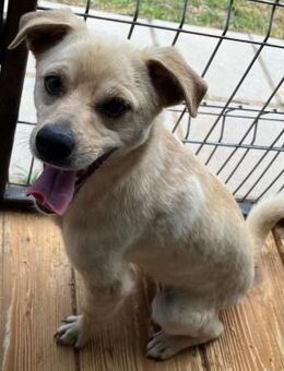 ❤️Kleiner Sonnenschein - Mint ❤️ - Eislingen (Fils)