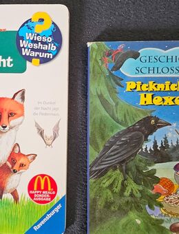 Picknick auf dem Hexenberg + Tiere in der Nacht - Langenselbold Zentrum
