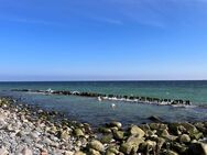 Direkt am Meer, unverbaubarer Blick auf die Ostsee -bezugsfrei- - Sassnitz