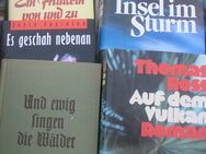 Romane / Unterhaltungsliteratur ohne Ende --- Teil 9 - Neuenkirchen (Landkreis Heidekreis)