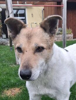 Henriko, Liebhaber von älteren Semestern gesucht - Erding
