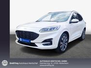 Ford Kuga 2.5 Duratec FHEV 4x4 ST-LINE X - Hildesheim