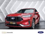 Ford Kuga, 2.5 L Duratec ST-Line X Plug-in-Hybrid Display, Jahr 2024 - Bietigheim-Bissingen