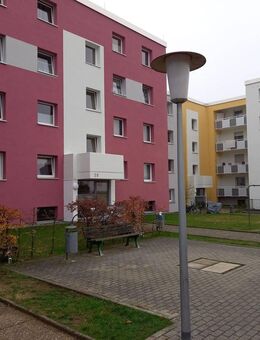 Tolle 4-Zimmer-Wohnung in Pfungstadt sucht neue Mieter - Pfungstadt