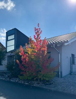 Barrierefreier Premium-Bungalow (BJ 2017) mit Top-Ausstattung, energieeffizientem Konzept - Katzenelnbogen