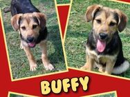 Süße Buffy wartet in 91278 Pottenstein! - Nürnberg