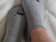 Getragene Socken in grau - Suhl