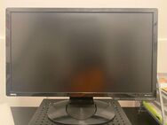 24-Zoll-LED-Monitor von BENQ (mattiert - keine Reflexion) - Berlin Lichtenberg