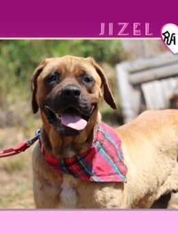 ❤ JIZEL ❤ - ICH VERDIENE DIE FREIHEIT! - Alfeld (Leine)