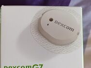 Dexcom G7 Sensor 1 Stück - Rosenheim