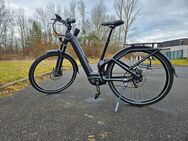 E-Bike ZEMO ZE FS 10F mit Enviolo-Schaltung - Sulzbach-Rosenberg