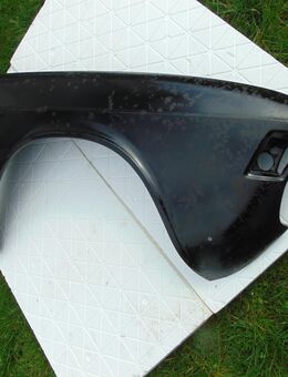 BMW E 3 Kotflügel neu - Merenberg (Marktflecken)