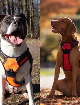 🔥 Lagerauflösung Hundegeschirre – NEU ab 7 € – Verschiedene Größen/Farben 🔥 - Brackenheim