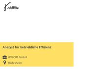 Analyst für betriebliche Effizienz - Hildesheim