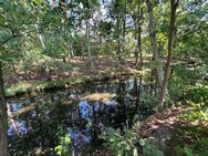 Schönes sonniges Baugrundstück mit direktem Wasserzugang in Groß Köris - Groß Köris