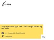 IT-Prozessmanager ERP / DMS / Digitalisierung (m/w/d) - Pforzheim