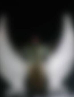 sch*** - Aichstetten