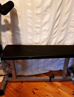 Crane Sports Situp Bauchtrainer Typ Crane Bauchtrainer MD 15040 - Niederfischbach