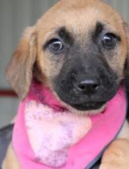 And the winner is: Chantal - München