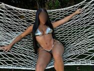 „NEU• KIMBERLY BLACK• LATINA SEXBOMBE BRINGT DICH UM DEN VERSTAND• NUR AUTODATES/HAUSBESUCHE•Erotik“ - Berlin Charlottenburg-Wilmersdorf