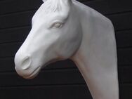 Pferd Horse lebensgroß Kopf - Modelle in den unterschiedlichsten Ausführungen haben wir für unsere Kunden im Sortiment. einfach den nachfolgende Link anklicken . - Heidesee