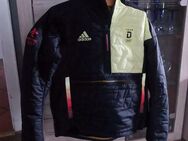 Adidas Windbreaker Olympia 2022 Beijing Deutschland Gr M - Dortmund