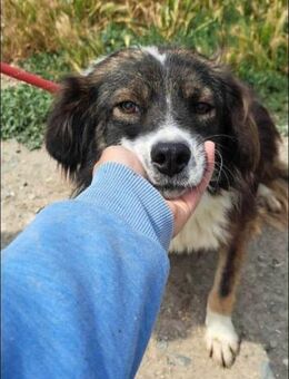 GiNA mit den Rehaugen 💖 - Mylau