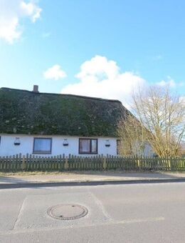 Historisches Reetdachhaus in Fedderingen - Charmantes Landleben mit Potenzial - Fedderingen