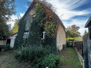Handwerkerhaus mit Streuobstwiese in Werder - Werder (Havel)