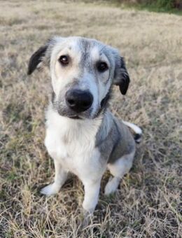 Irma ein zartes Herz - Berlin