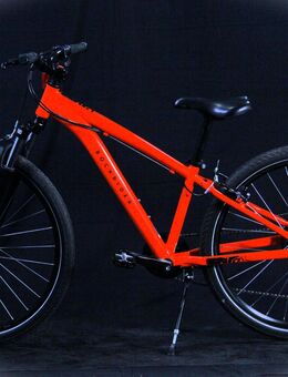 Cooles MTB-Fahrrad,der Marke Rockrider, B25/180 - Aarau