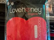Bodystocking Plus Size - Merseburg